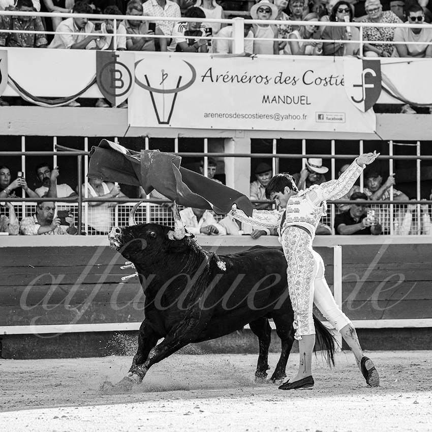 20250824 st gilles by alfaduende 017