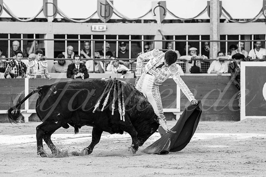 20250824 st gilles by alfaduende 016