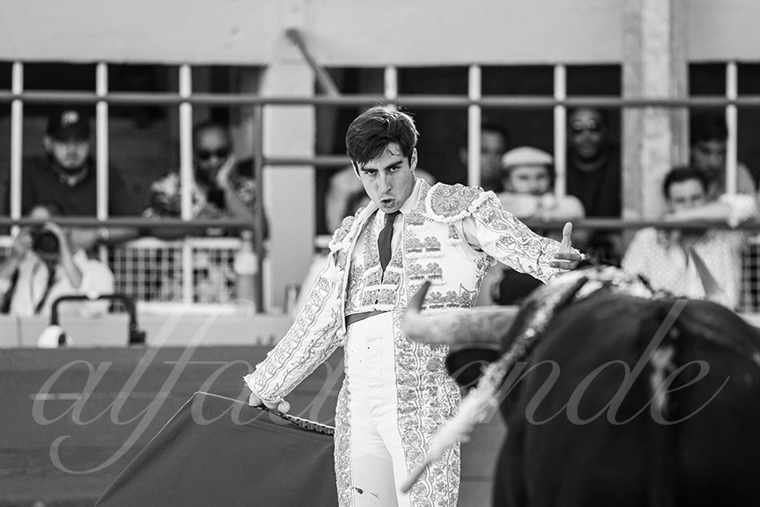 20250824 st gilles by alfaduende 015