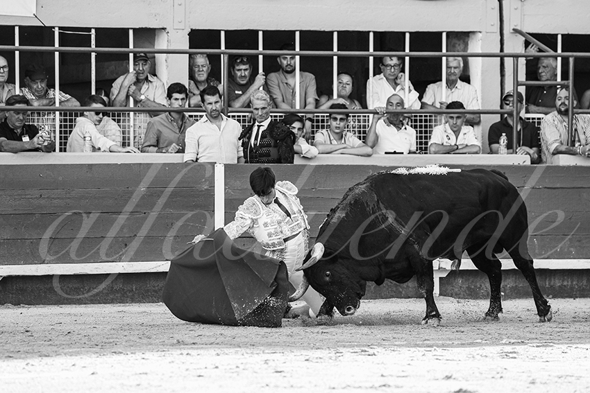 20250824 st gilles by alfaduende 014