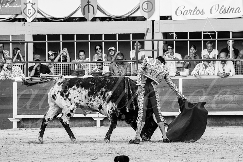 20250824 st gilles by alfaduende 011