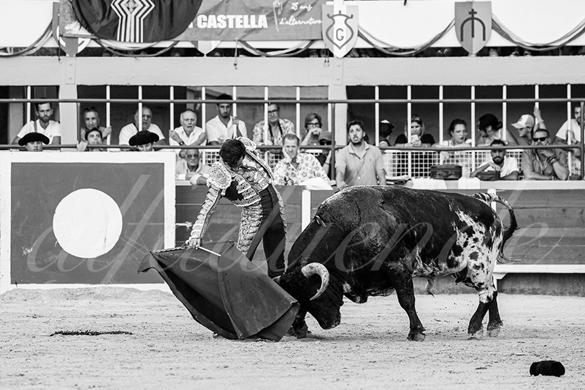 20250824 st gilles by alfaduende 010