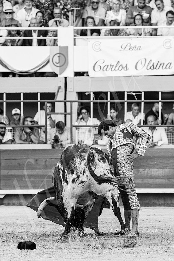 20250824 st gilles by alfaduende 009