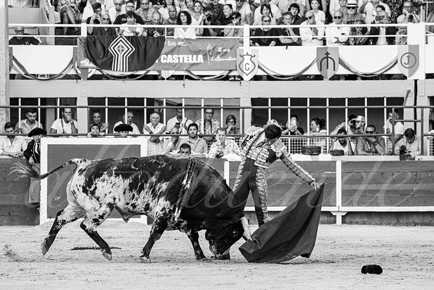 20250824 st gilles by alfaduende 008