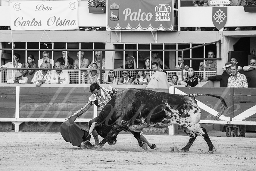 20250824 st gilles by alfaduende 007