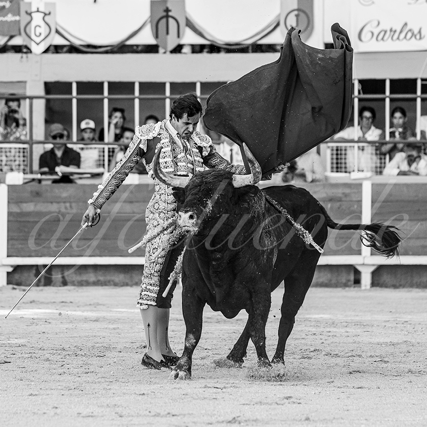 20250824 st gilles by alfaduende 006