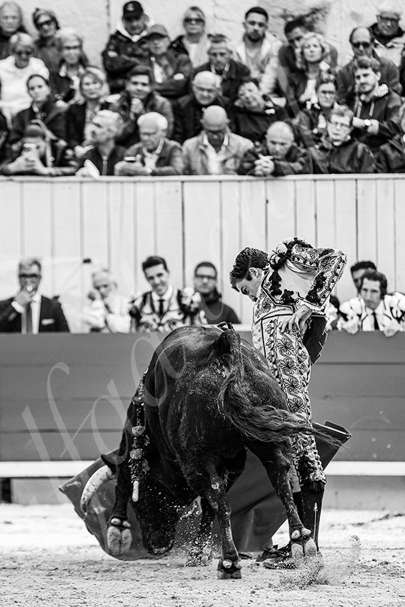 20250913 arles by alfaduende 025