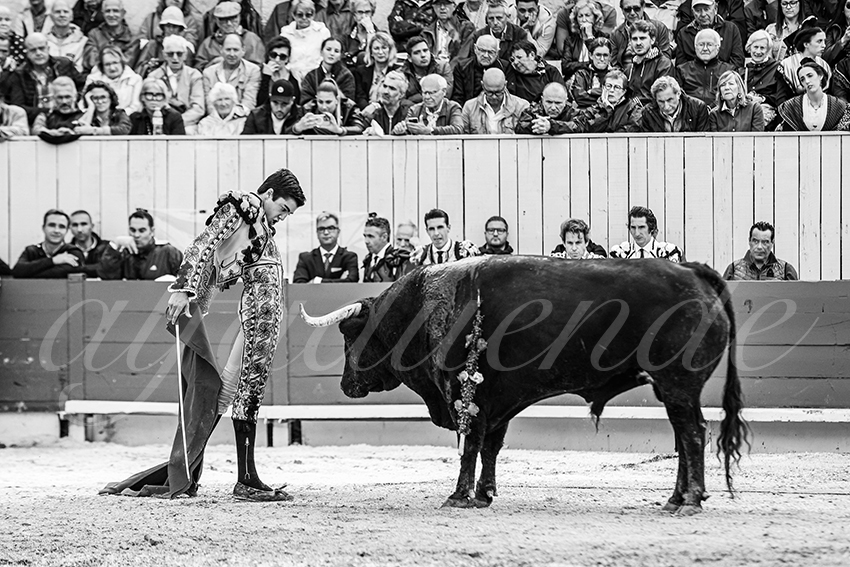 20250913 arles by alfaduende 024