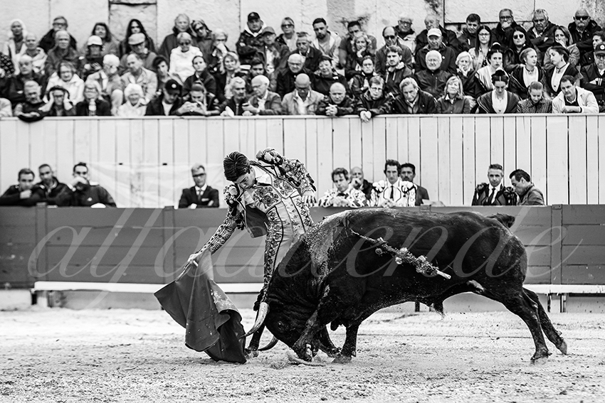 20250913 arles by alfaduende 023