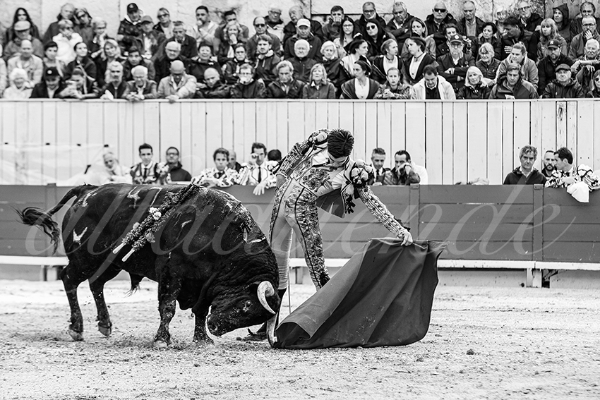 20250913 arles by alfaduende 022