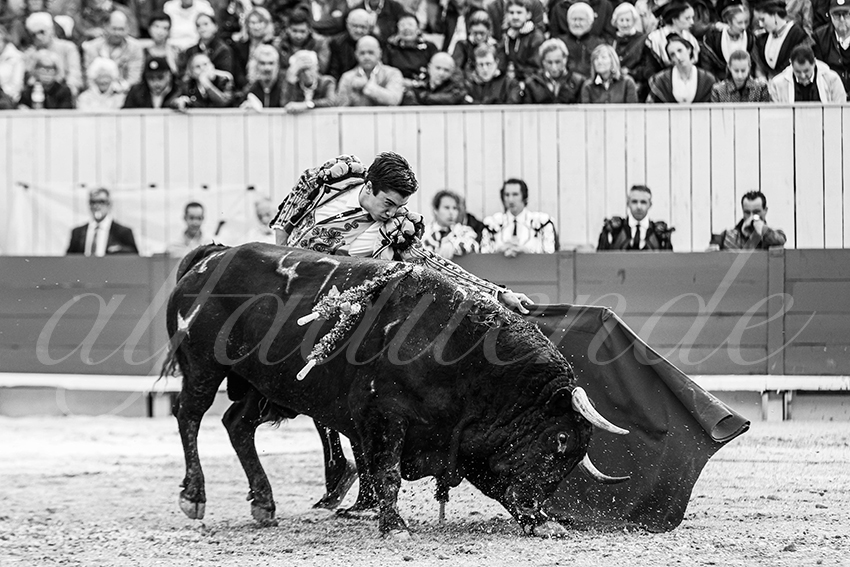 20250913 arles by alfaduende 021