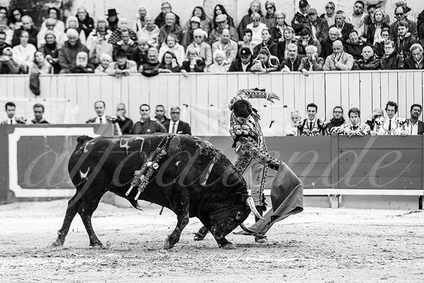 20250913 arles by alfaduende 020