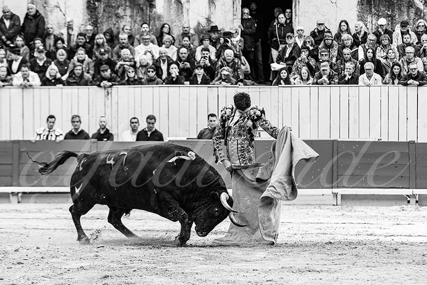 20250913 arles by alfaduende 019