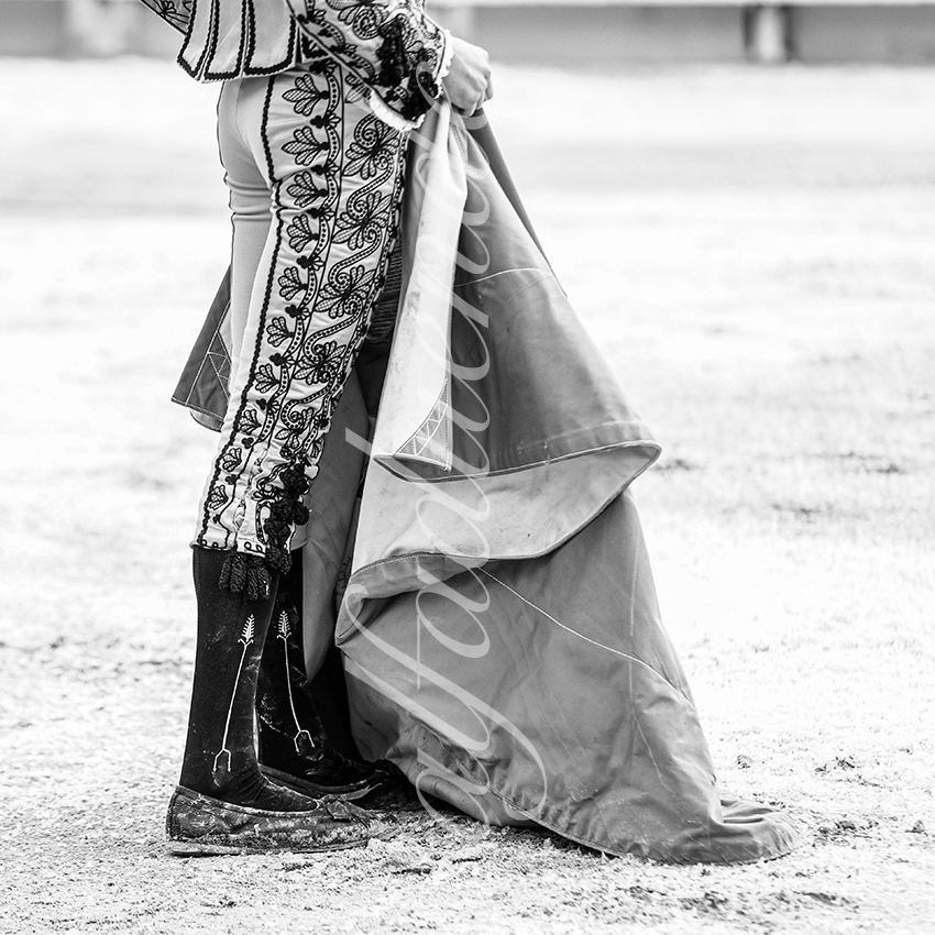 20250913 arles by alfaduende 018