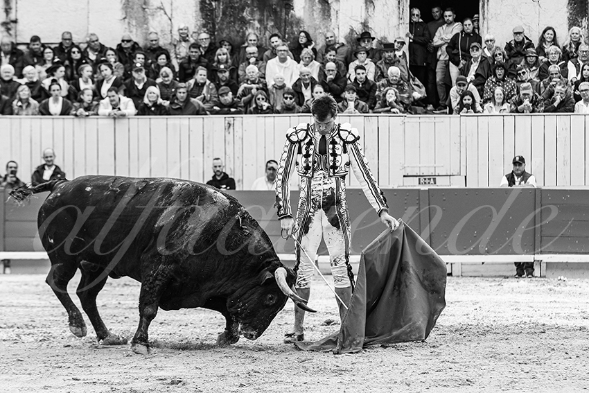 20250913 arles by alfaduende 015