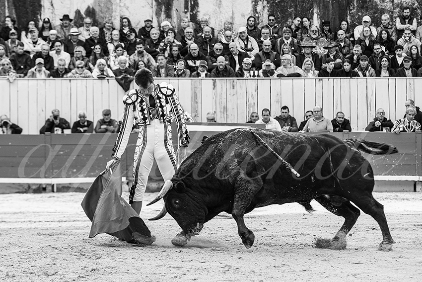 20250913 arles by alfaduende 014