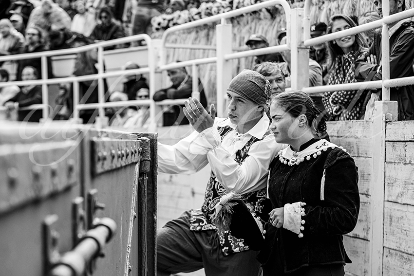 20250913 arles by alfaduende 013