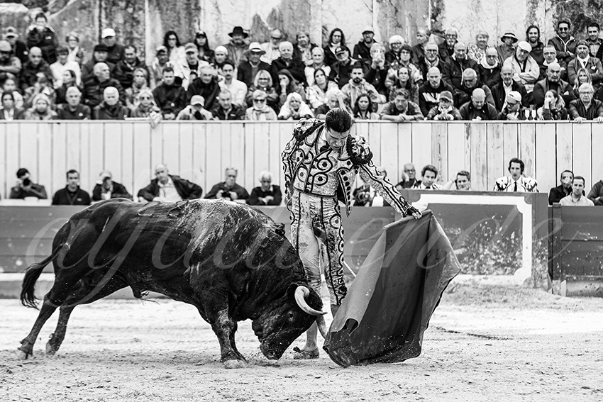 20250913 arles by alfaduende 012