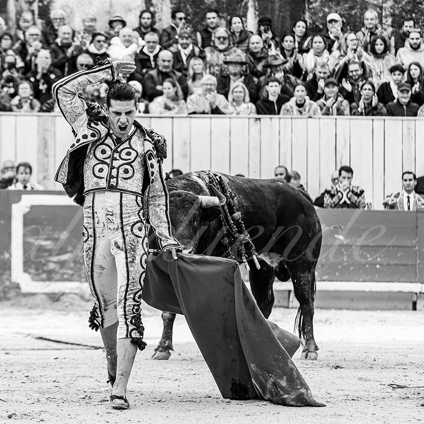 20250913 arles by alfaduende 011