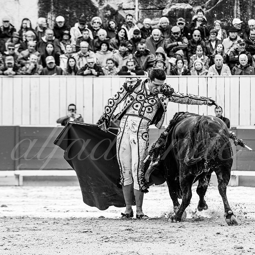 20250913 arles by alfaduende 010