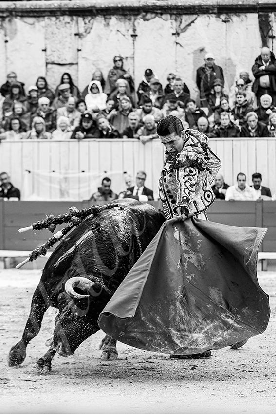 20250913 arles by alfaduende 009