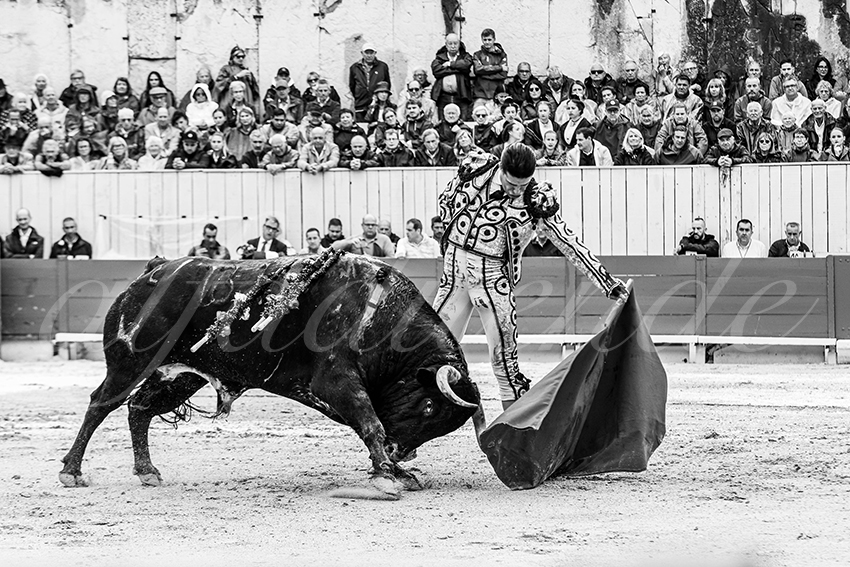 20250913 arles by alfaduende 008