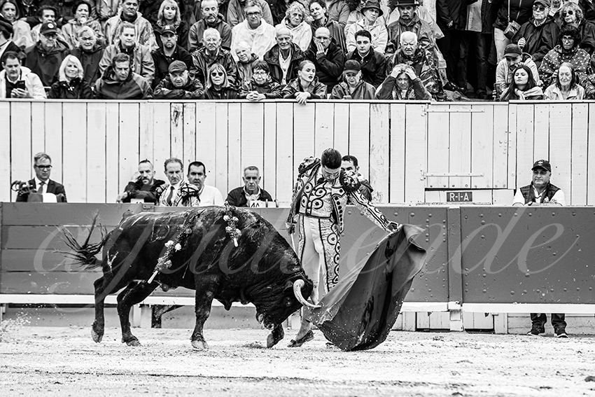 20250913 arles by alfaduende 007