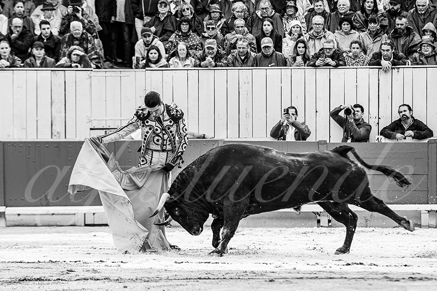 20250913 arles by alfaduende 006