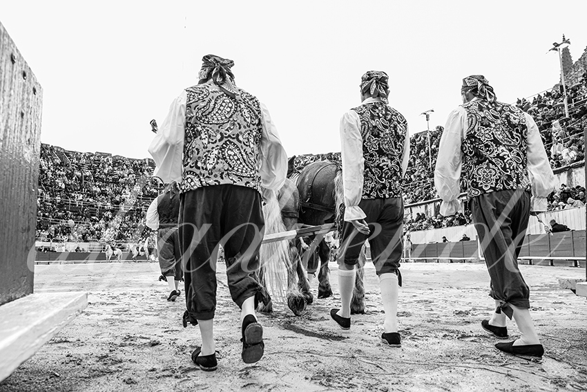 20250913 arles by alfaduende 005