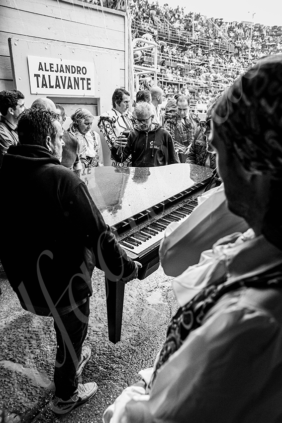 20250913 arles by alfaduende 004