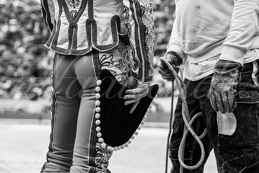 20250913 arles by alfaduende 001