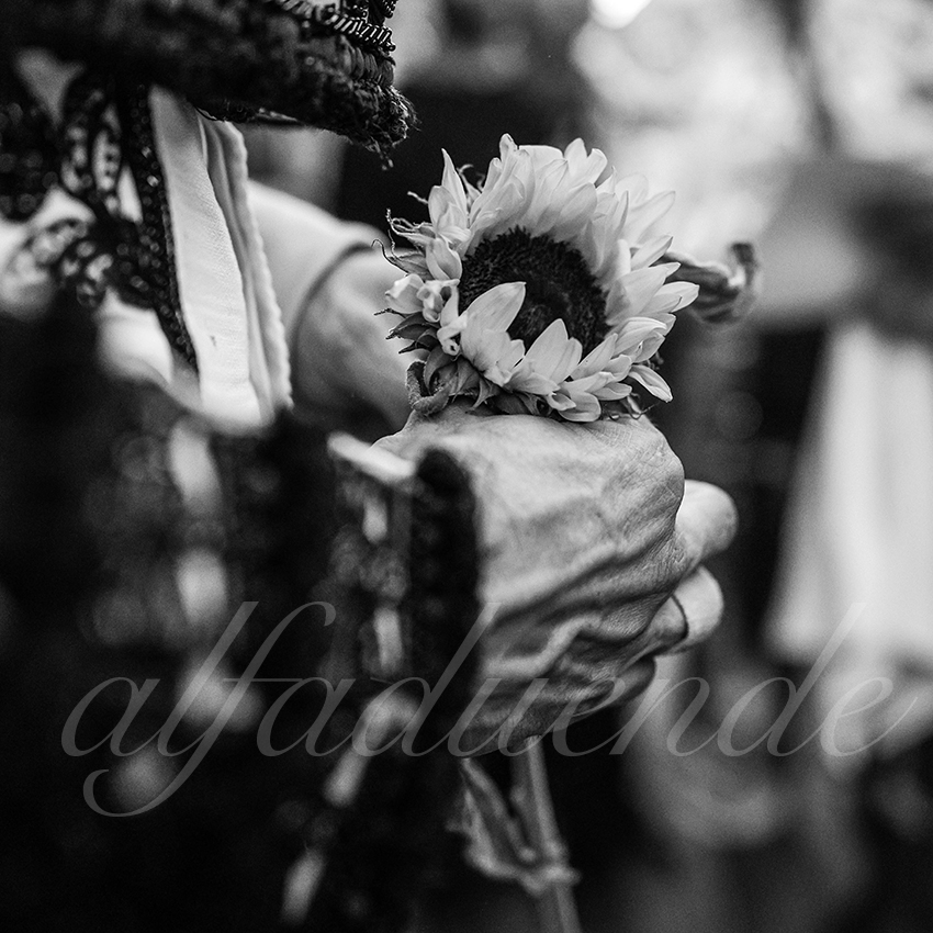 20250914 arles by alfaduende 029