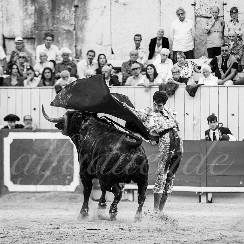 20250914 arles by alfaduende 027