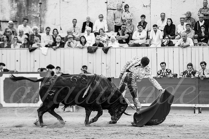 20250914 arles by alfaduende 026