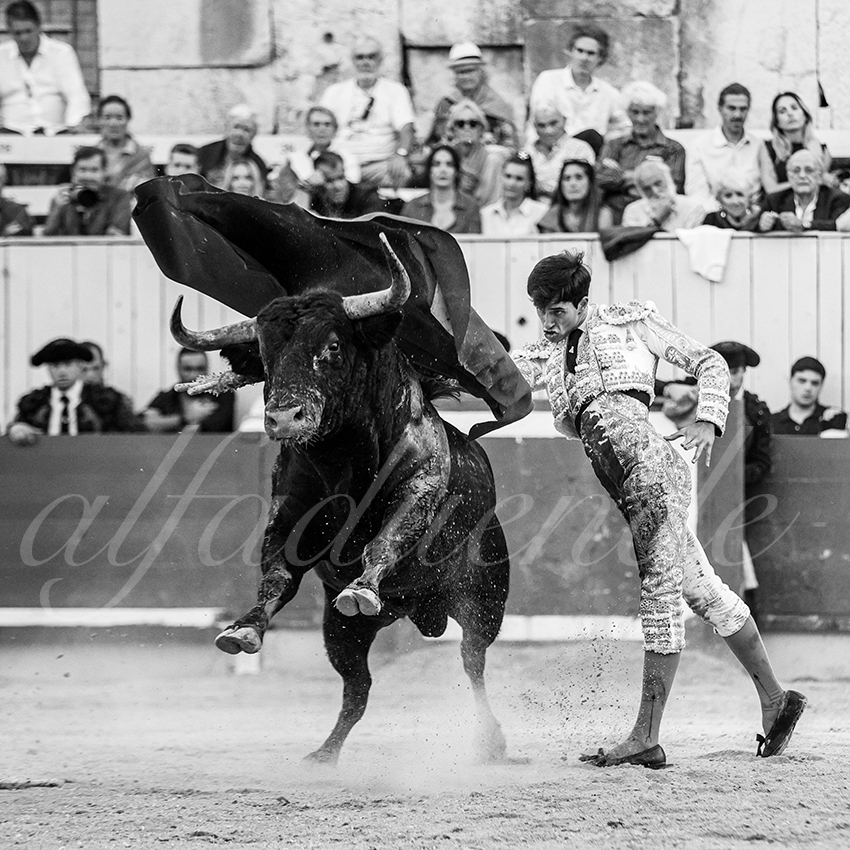 20250914 arles by alfaduende 025