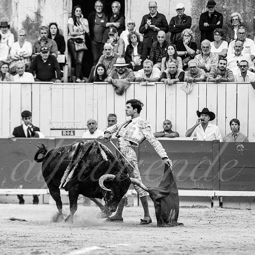 20250914 arles by alfaduende 024