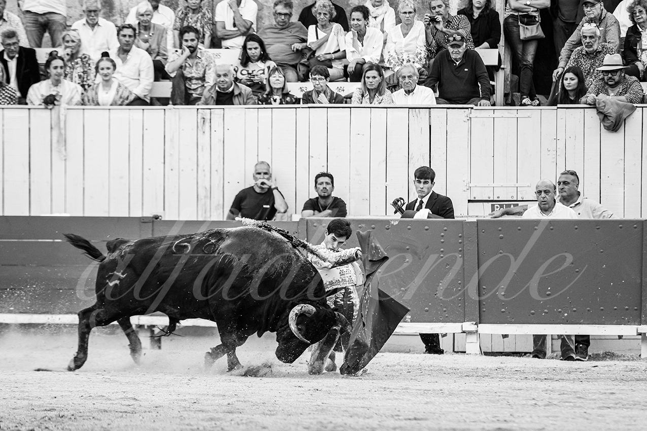 20250914 arles by alfaduende 023