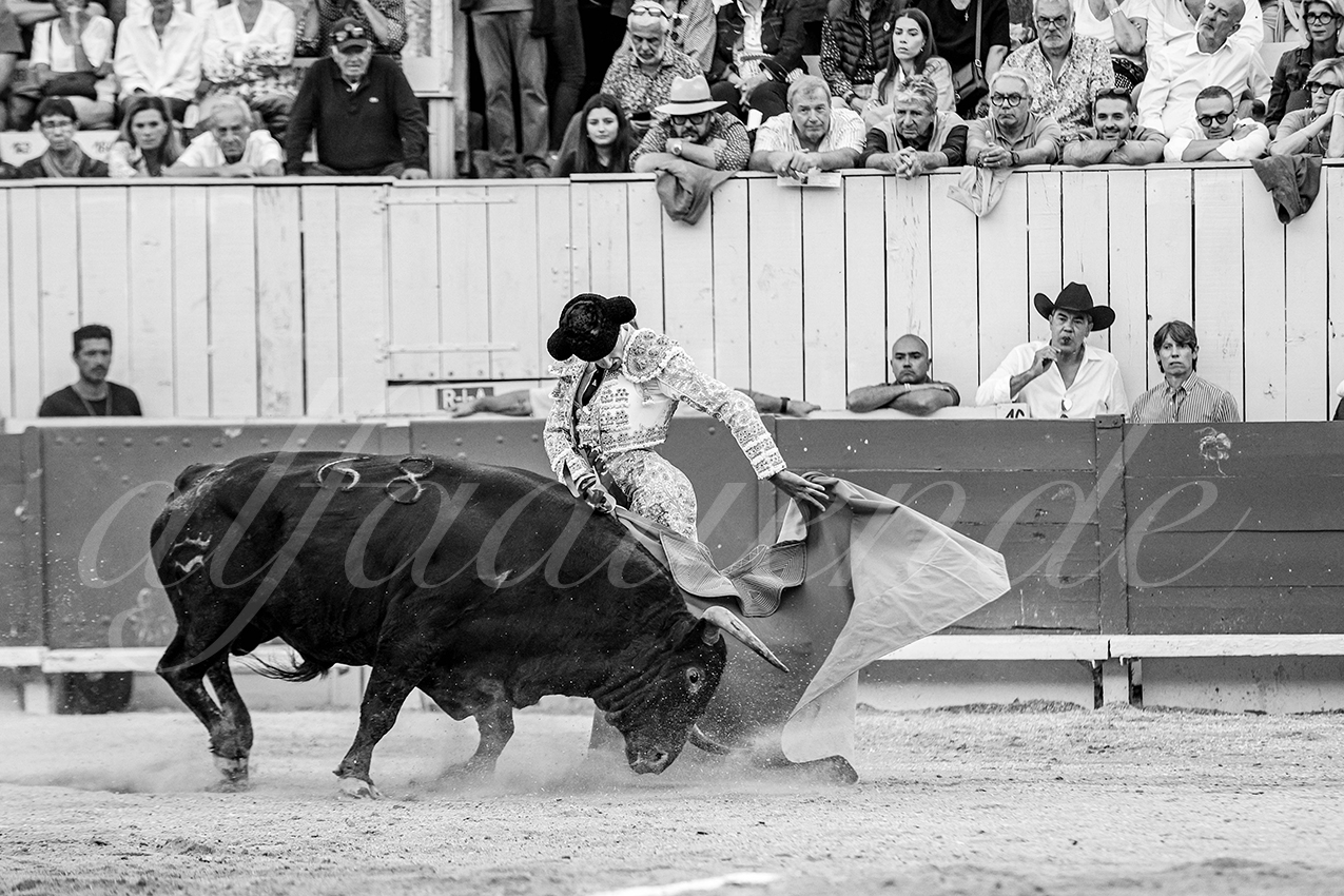 20250914 arles by alfaduende 022