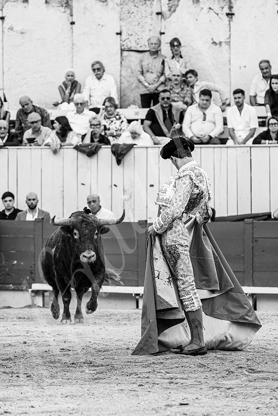 20250914 arles by alfaduende 021