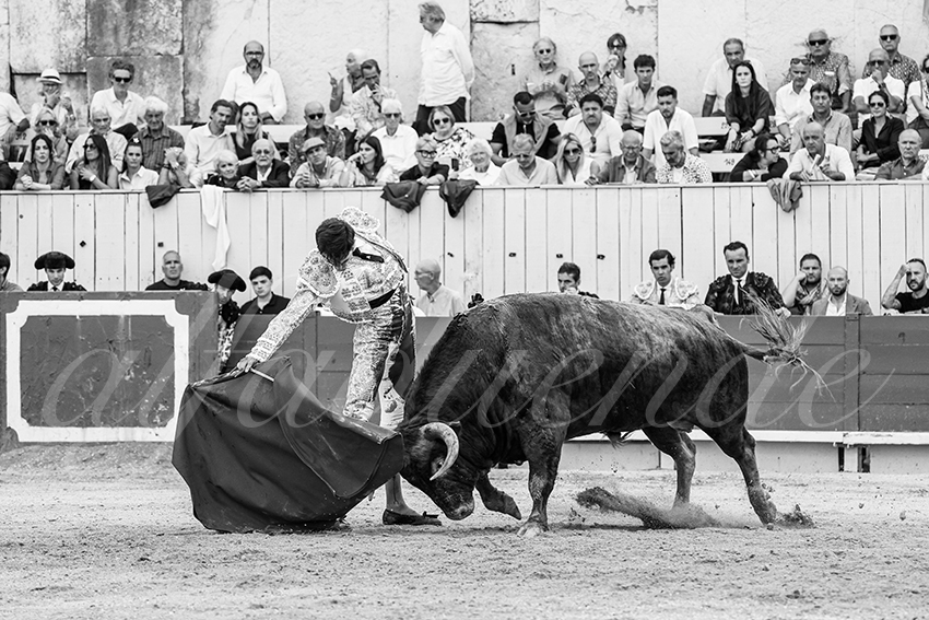 20250914 arles by alfaduende 019