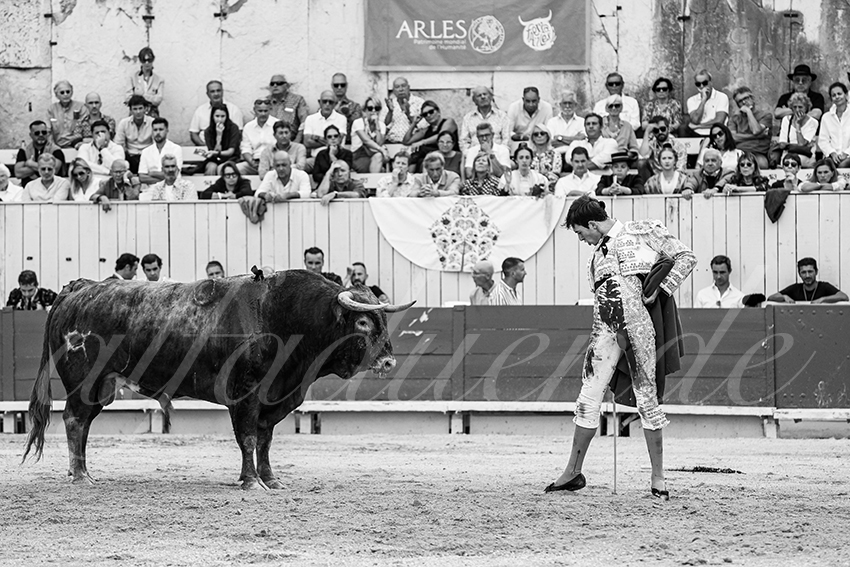 20250914 arles by alfaduende 018