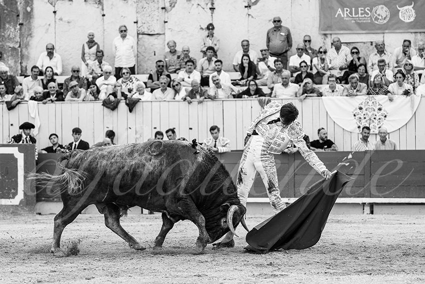 20250914 arles by alfaduende 017