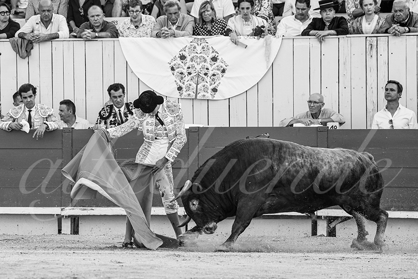 20250914 arles by alfaduende 014