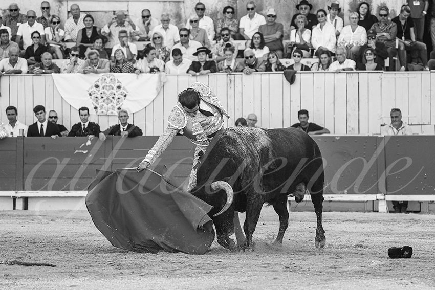 20250914 arles by alfaduende 013