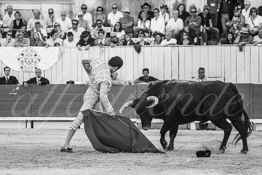 20250914 arles by alfaduende 012