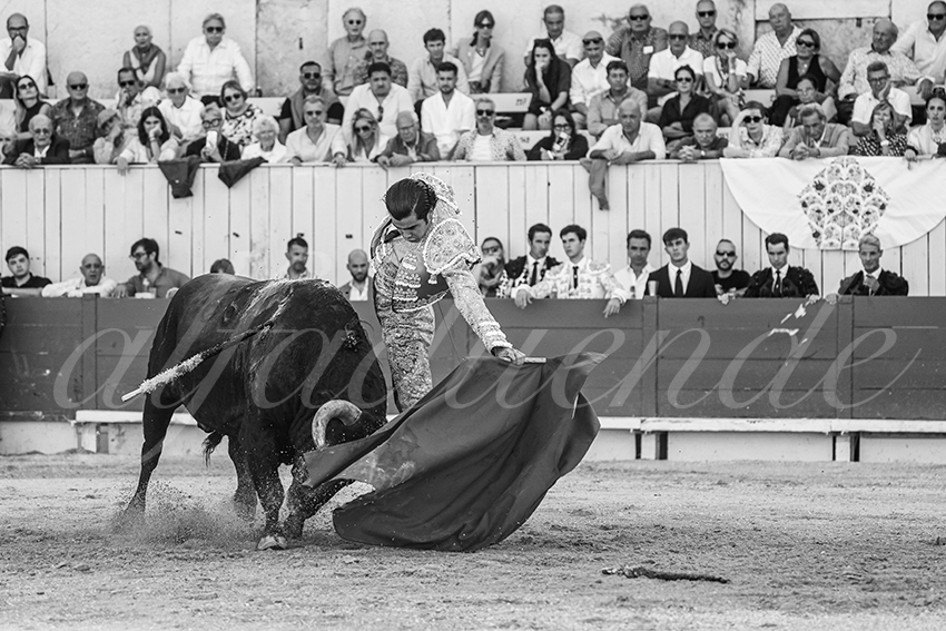 20250914 arles by alfaduende 011