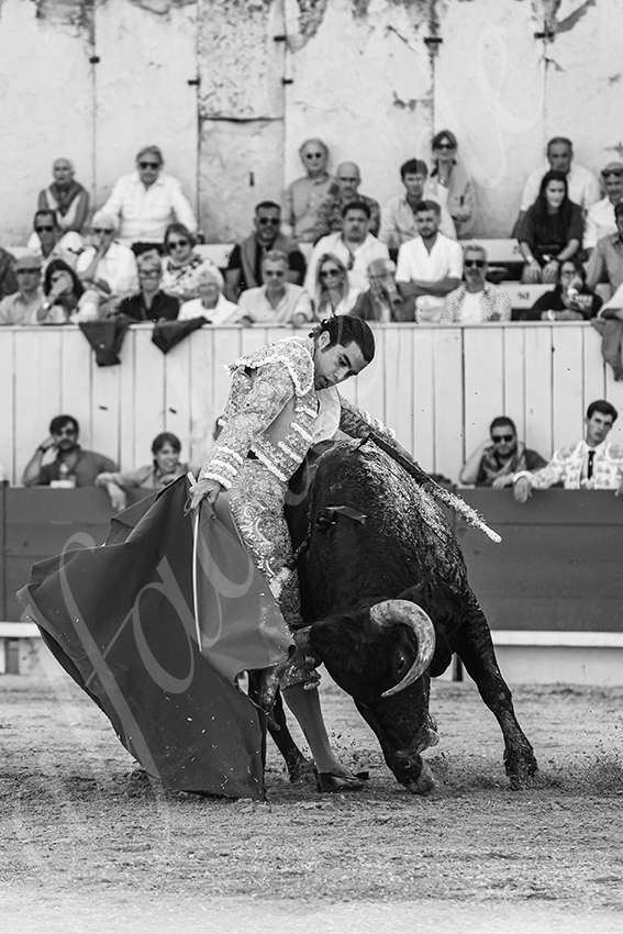 20250914 arles by alfaduende 010