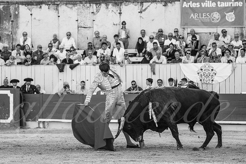 20250914 arles by alfaduende 009