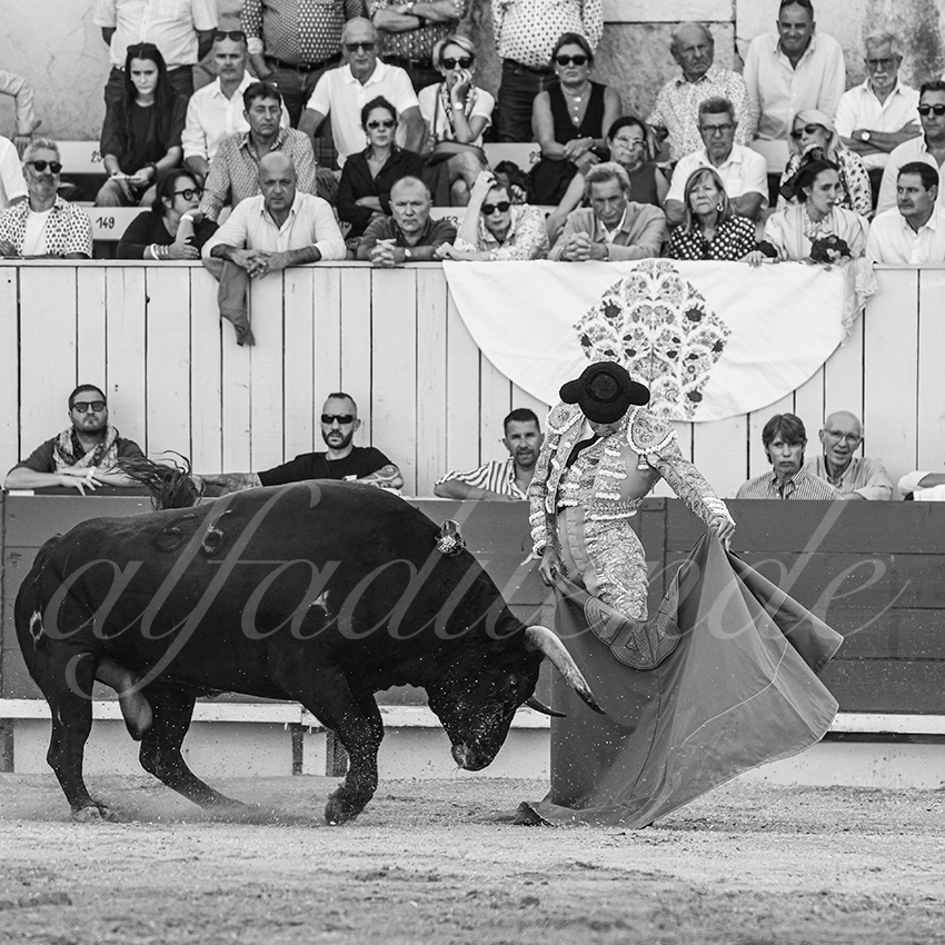 20250914 arles by alfaduende 008