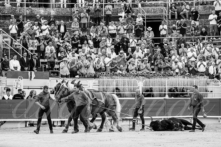 20250914 arles by alfaduende 007